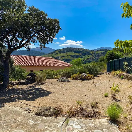 Villa 4amb2 - - Résidence D'ambeille Piscine Collective Collioure